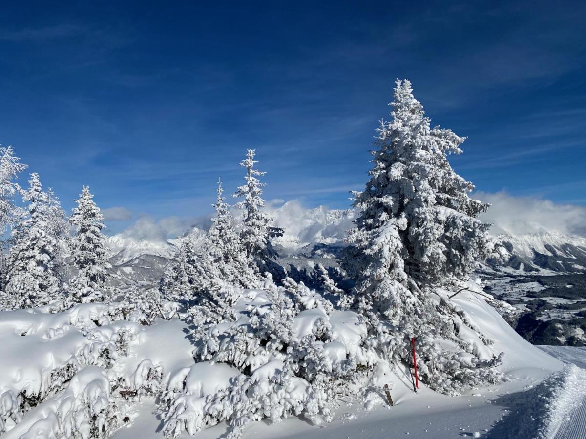 Chalet Reiteralm- Ski Inski Out Schladming Esterno foto